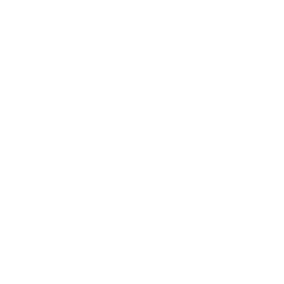 Bloom Nutrition logo